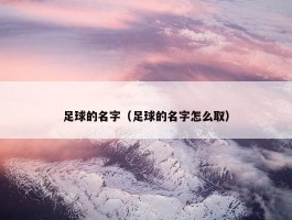 足球的名字（足球的名字怎么取）