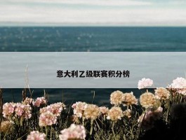 意大利乙级联赛积分榜