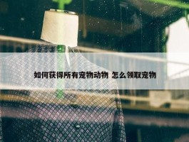 如何获得所有宠物动物 怎么领取宠物