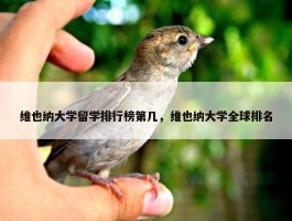 维也纳大学留学排行榜第几，维也纳大学全球排名