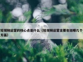 短视频运营的核心点是什么（短视频运营主要包括哪几个方面）