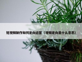 短视频制作如何定向运营（视频定向是什么意思）