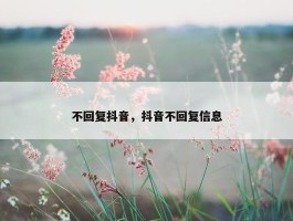 不回复抖音，抖音不回复信息