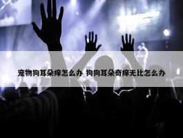 宠物狗耳朵痒怎么办 狗狗耳朵奇痒无比怎么办