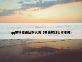 qq宠物能送给别人吗（宠物可以生宝宝吗）