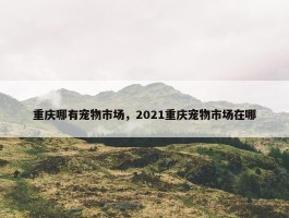 重庆哪有宠物市场，2021重庆宠物市场在哪