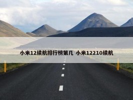 小米12续航排行榜第几 小米12210续航