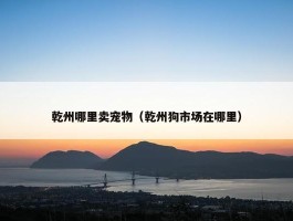 乾州哪里卖宠物（乾州狗市场在哪里）