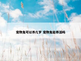 宠物兔可以养几岁 宠物兔能养活吗