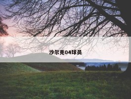 沙尔克04球员