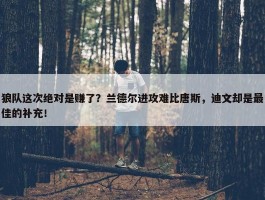 狼队这次绝对是赚了？兰德尔进攻难比唐斯，迪文却是最佳的补充！