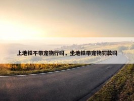 上地铁不带宠物行吗，坐地铁带宠物罚款吗