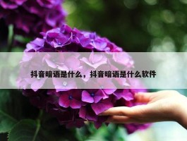 抖音暗语是什么，抖音暗语是什么软件