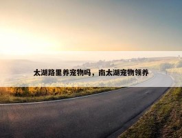 太湖路里养宠物吗，南太湖宠物领养