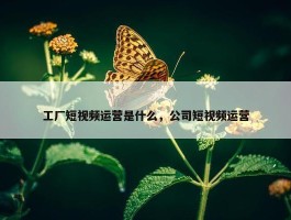 工厂短视频运营是什么，公司短视频运营