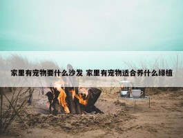 家里有宠物要什么沙发 家里有宠物适合养什么绿植