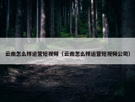 云南怎么样运营短视频（云南怎么样运营短视频公司）