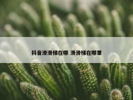 抖音滑滑梯在哪 滑滑梯在哪里