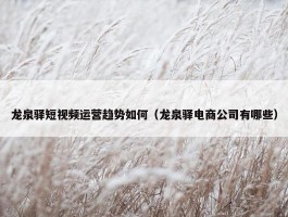 龙泉驿短视频运营趋势如何（龙泉驿电商公司有哪些）