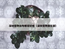 深圳宠物会所哪家好些（深圳宠物俱乐部）