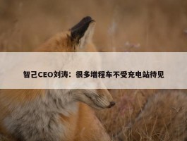 智己CEO刘涛：很多增程车不受充电站待见