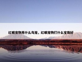 红眼宠物用什么鸟笼，红眼宠物打什么宝珠好