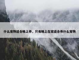 什么宠物适合晚上养，只有晚上在家适合养什么宠物