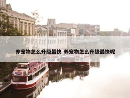 养宠物怎么升级最快 养宠物怎么升级最快呢