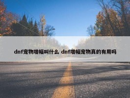 dnf宠物增幅叫什么 dnf增幅宠物真的有用吗