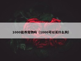 1000能养宠物吗（1000可以买什么狗）