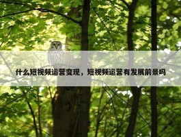 什么短视频运营变现，短视频运营有发展前景吗