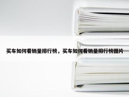 买车如何看销量排行榜，买车如何看销量排行榜图片