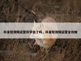 抖音短视频运营你学会了吗，抖音短视频运营全攻略