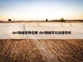 dnf振幅宠物在哪 dnf振幅可以改属性吗