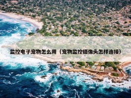 监控电子宠物怎么用（宠物监控摄像头怎样连接）