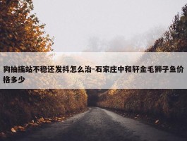 狗抽搐站不稳还发抖怎么治-石家庄中和轩金毛狮子鱼价格多少