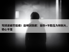 骂球迷被罚后续！赵明剑致歉：腿伤+不胜压力特别大，初心不变