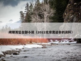 纯银耳坠全部小说（2022北京奥运会的资料）