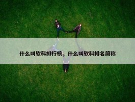 什么叫软科排行榜，什么叫软科排名简称