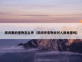 房间里的宠物怎么养（房间养宠物会对人体有害吗）