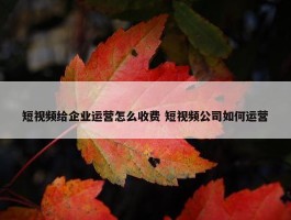 短视频给企业运营怎么收费 短视频公司如何运营