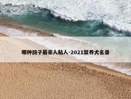 哪种鸽子最亲人粘人-2021禁养犬名录