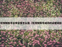 短视频账号日常运营怎么做（短视频账号成功的运营经验）