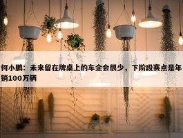 何小鹏：未来留在牌桌上的车企会很少，下阶段赛点是年销100万辆