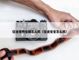 征途宠物宝图怎么抓（征途宝宝怎么抓）