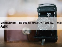 可捆绑可囚禁？《萤火突击》被玩坏了，网友表示：想要大香蕉