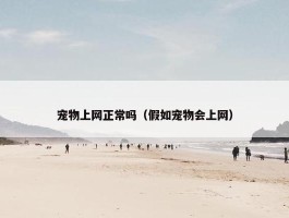 宠物上网正常吗（假如宠物会上网）