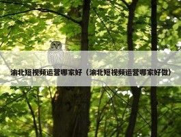 渝北短视频运营哪家好（渝北短视频运营哪家好做）