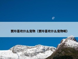 贾玲喜欢什么宠物（贾玲喜欢什么宠物呢）