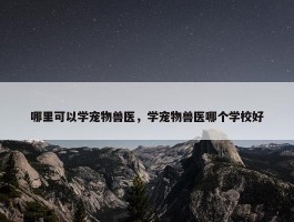 哪里可以学宠物兽医，学宠物兽医哪个学校好